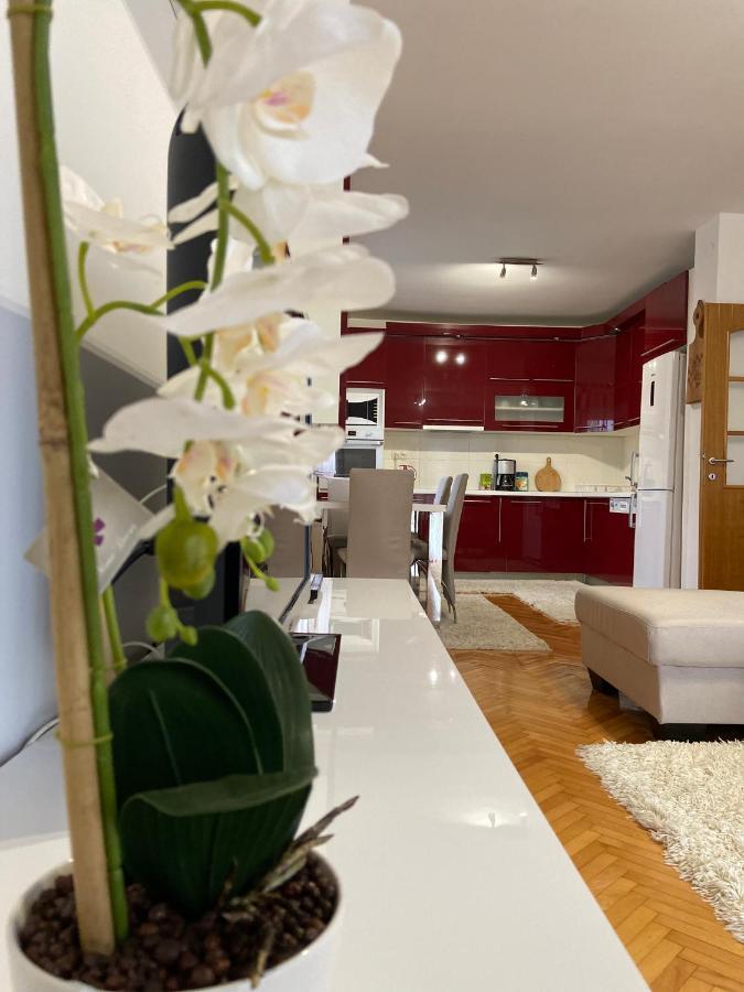 Guest House Ivano 莫斯塔尔 外观 照片
